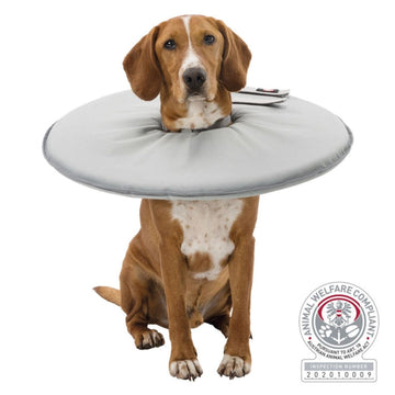 Hunde-Apotheke