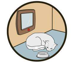 Karlie CAT FLAP Katzentür in Braun, Grau und Weiß