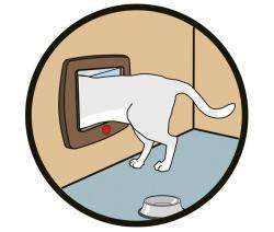 Karlie CAT FLAP Katzentür in Braun, Grau und Weiß