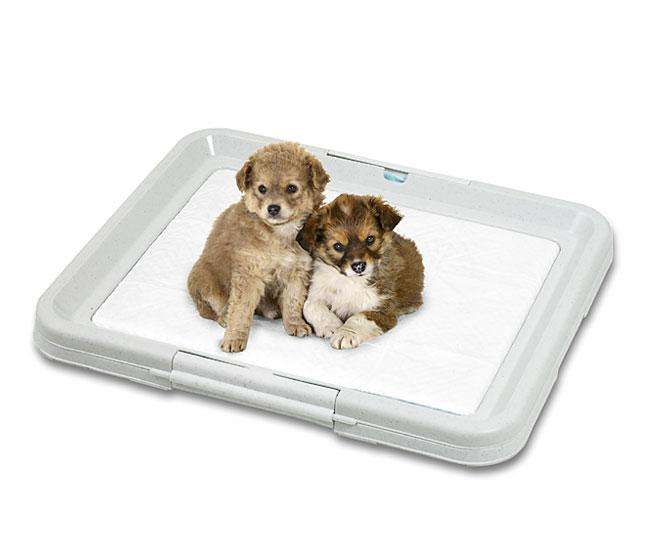 PUPPY POTTY das Welpen WC