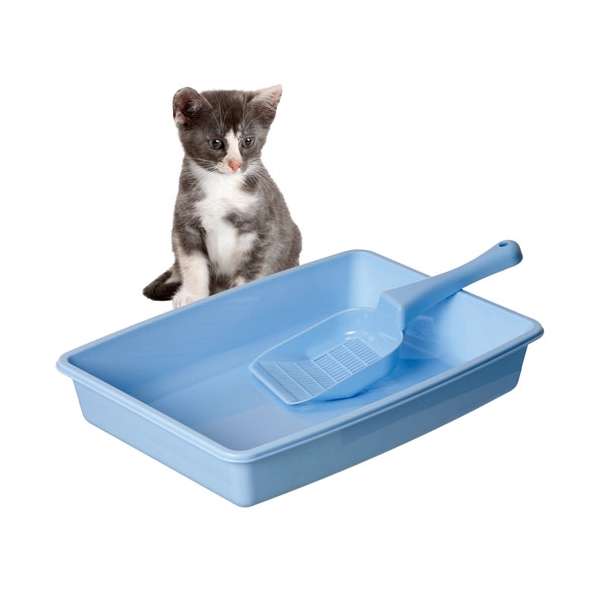 Karlie Kitty Kidz Starter Set