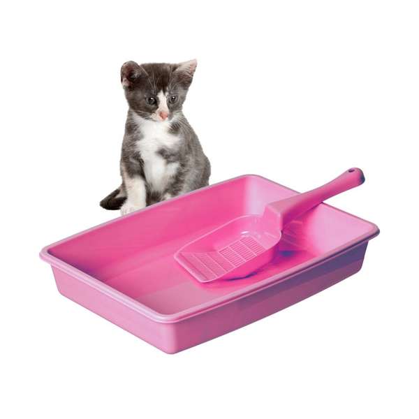 Karlie Kitty Kidz Starter Set