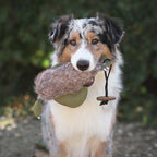 Procyon Duck Dummy mit Kunstfell