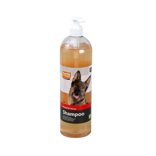 Flamingo Ringelblumen - Honig - Shampoo