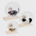 Holz Laufrad Boogie Wheel – Kunststoff