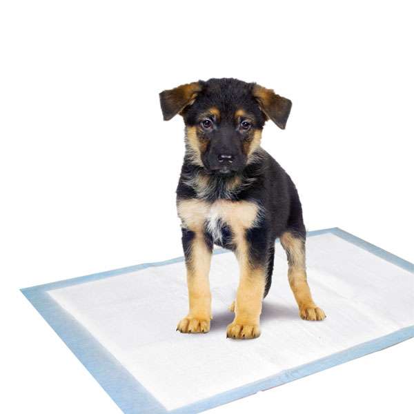 Flamingo Puppy Pads Trainingsmatten