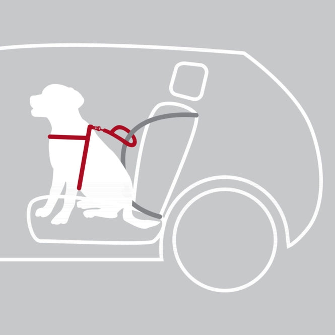 Trixie Auto - Sicherheitsgeschirr Dog Protect