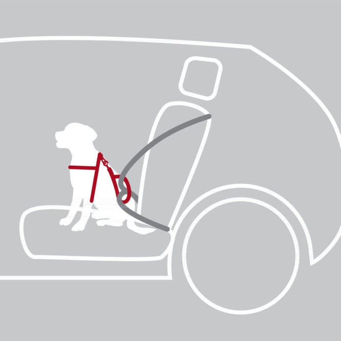 Trixie Auto - Sicherheitsgeschirr Dog Protect