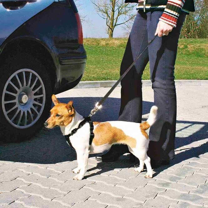 Trixie Auto - Sicherheitsgeschirr