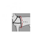 Trixie Trainingsgeschirr Lead'n'Walk Soft