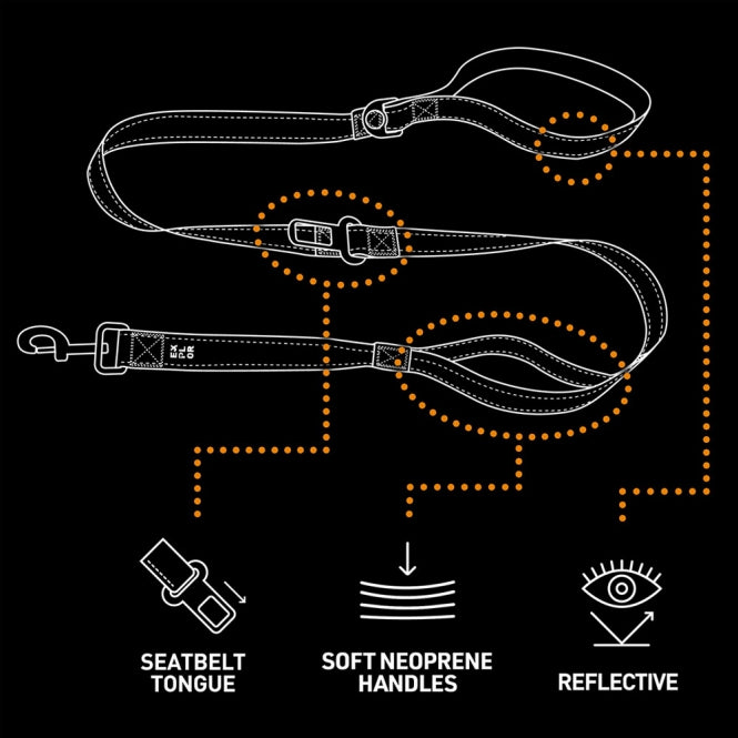Duvoplus EXPLOR Ultimate Fit On The Road - Leine Safety