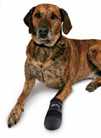 Trixie Walker Care Pfotenschutz - Stiefel