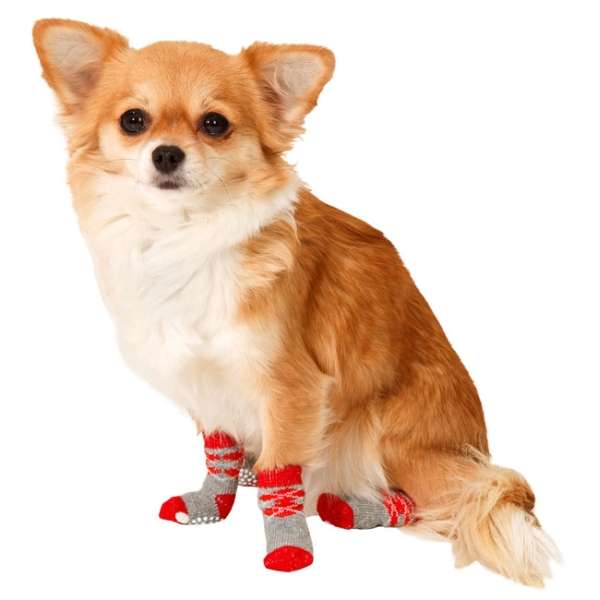 Doggy Socks Hundesocken 4er Set
