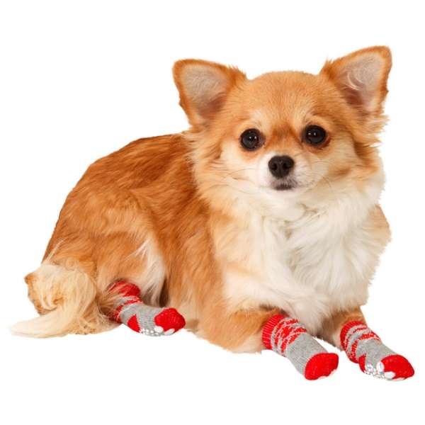 Doggy Socks Hundesocken 4er Set