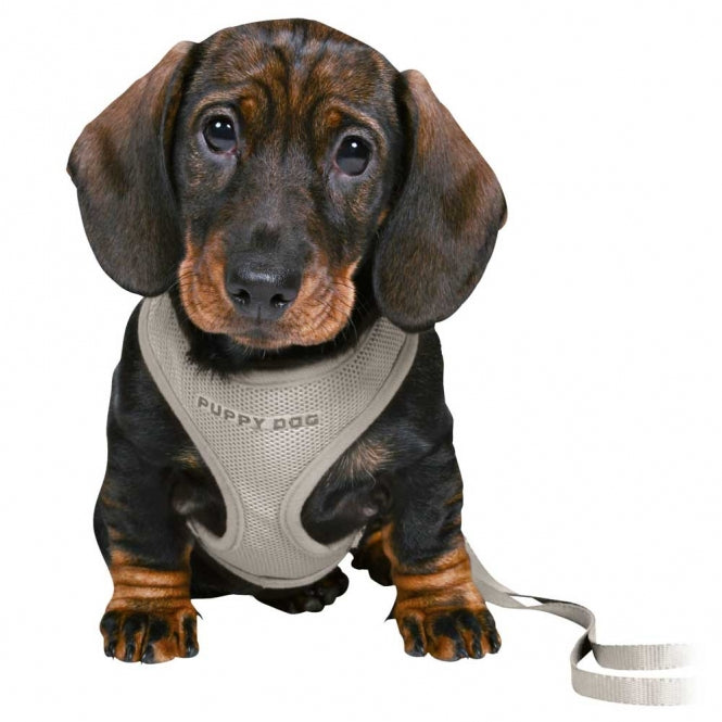 Trixie Junior Welpen Softgeschirr mit Leine
