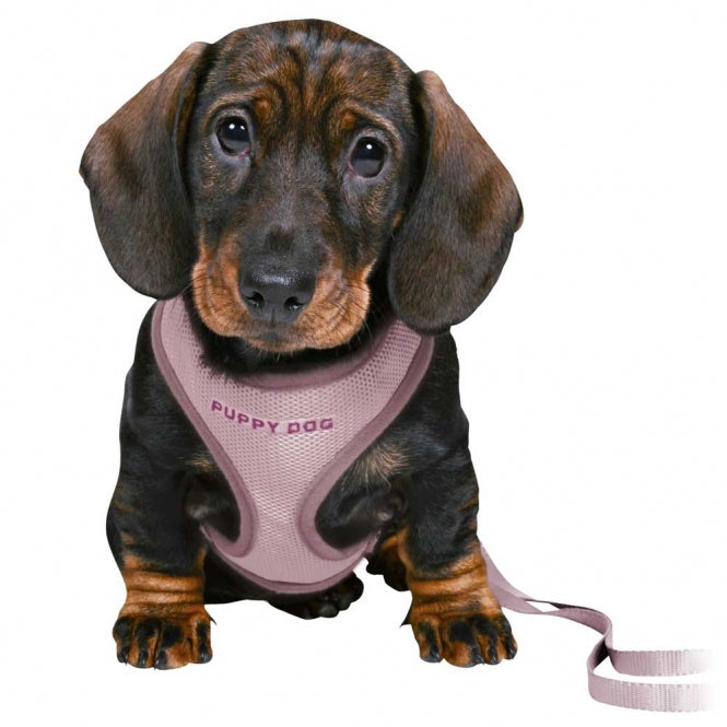 Trixie Junior Welpen Softgeschirr mit Leine