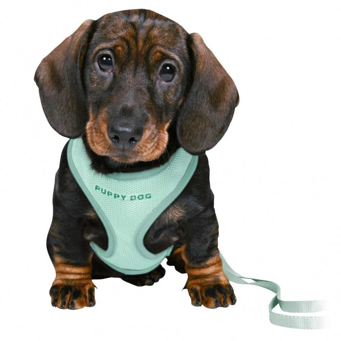 Trixie Junior Welpen Softgeschirr mit Leine