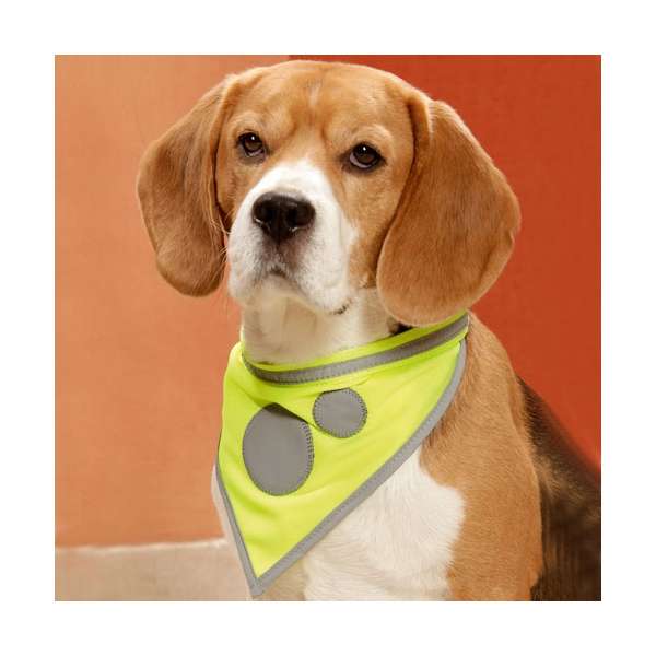 Karlie Safety Dog Sicherheitshalstuch