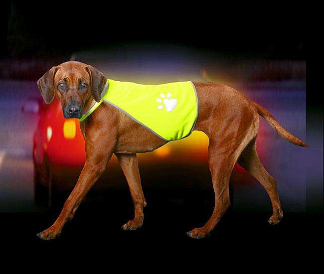Karlie SAFETY DOG Sicherheitsweste