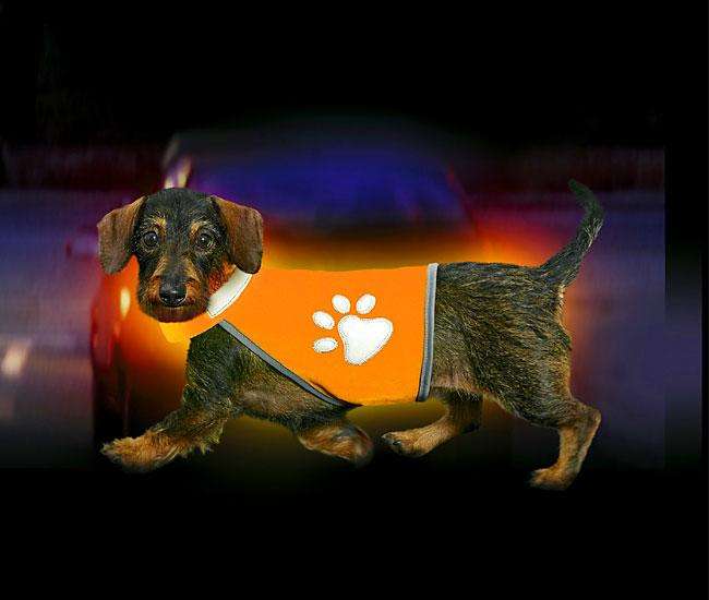 Karlie SAFETY DOG Sicherheitsweste