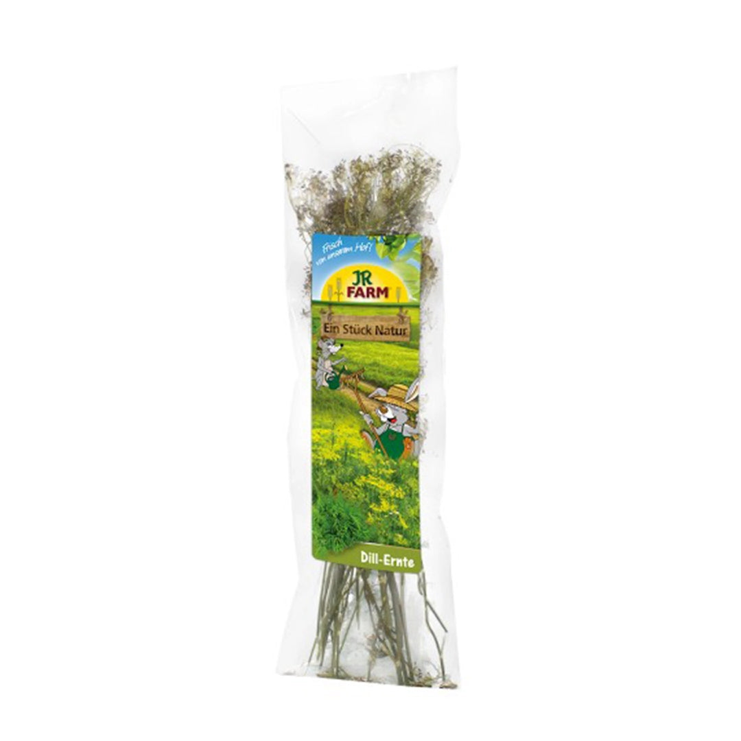 JR Farm Ein Stück Natur Dill Ernte