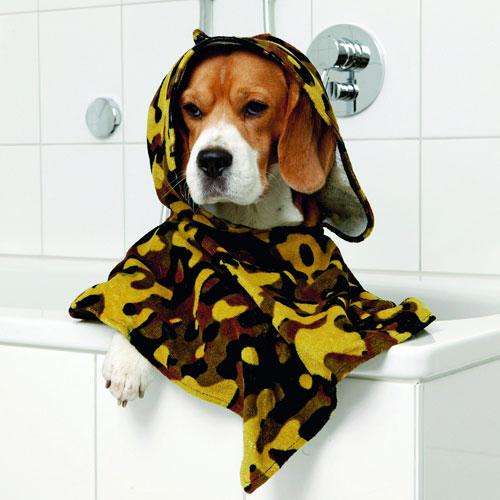 Hunde Poncho Camouflage