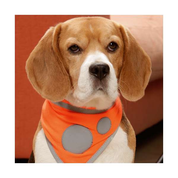 Karlie Safety Dog Sicherheitshalstuch