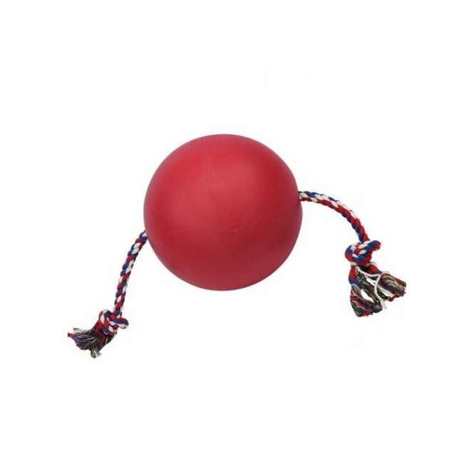 Tuggo Teeny Tiny Ball von Tigern getestet! – Klein