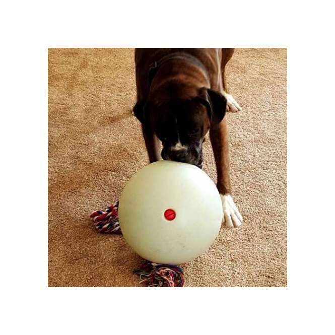 Tuggo Teeny Tiny Ball von Tigern getestet! – Glow in the Dark – Klein