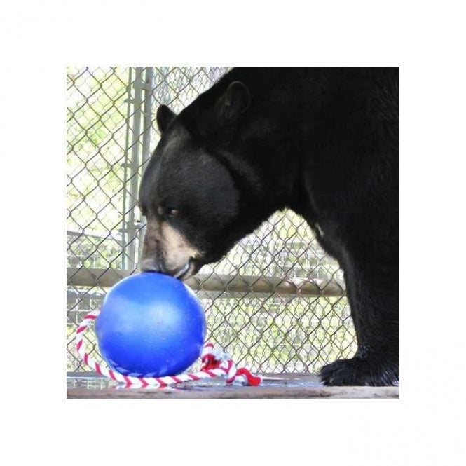 Tuggo Teeny Tiny Ball von Tigern getestet! – Klein