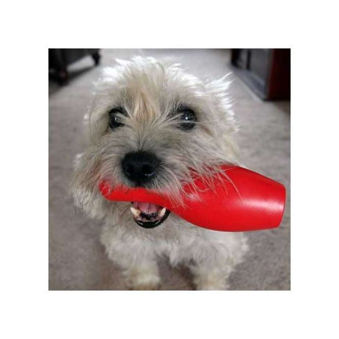 Tuggo Shake N Fetch von Tigern getestet!