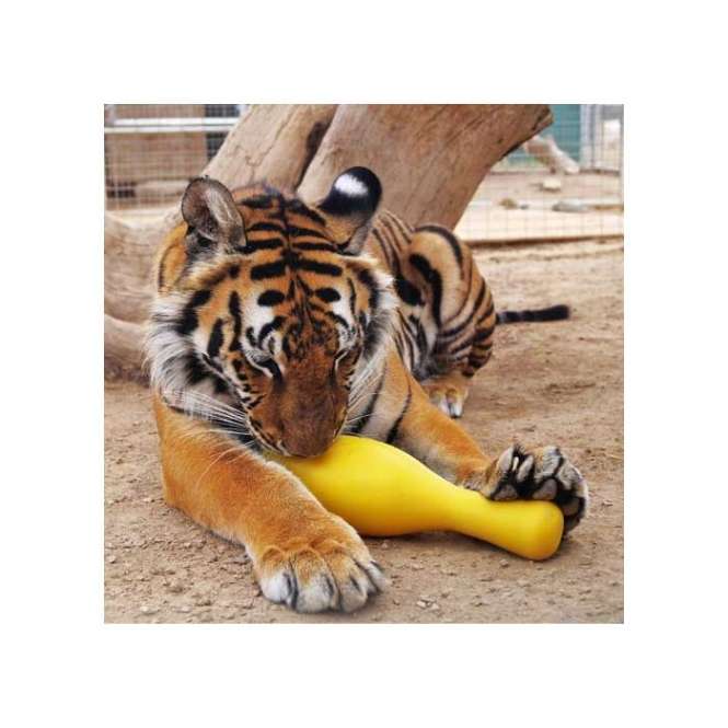 Tuggo Shake N Fetch von Tigern getestet!