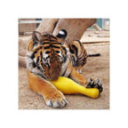 Tuggo Shake N Fetch von Tigern getestet!