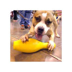 Tuggo Shake N Fetch von Tigern getestet!