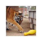Tuggo Shake N Fetch von Tigern getestet!