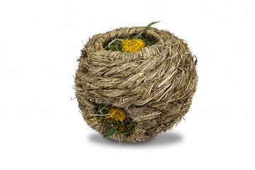 Grasnester & Grashäuser
