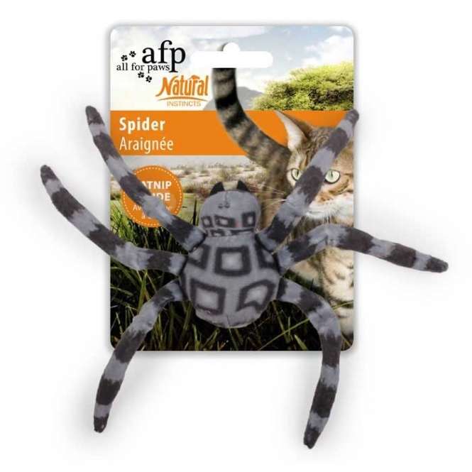 All for Paws Natural Instincts Katzenspielzeug Spider
