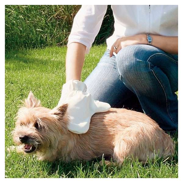 Trixie Fellpflege / Massage Handschuh