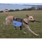 Trixie Rucksack für Hunde