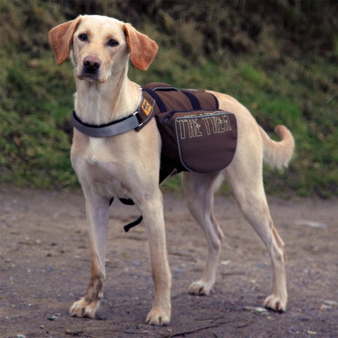 Trixie Rucksack für Hunde
