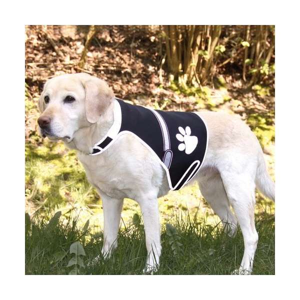 Trixie Flash Sicherheitsweste für Hunde