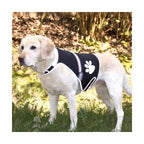 Trixie Flash Sicherheitsweste für Hunde