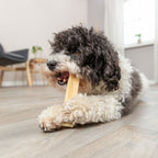 Trixie Kaukäse