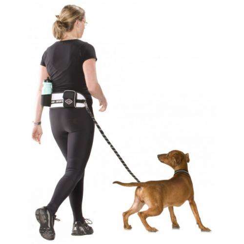 D&D Sports Active Walker