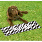 Karlie Fun Agility Starter Set