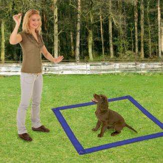 Karlie Fun Agility Starter Set