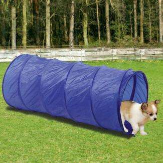 Karlie Fun Agility Starter Set
