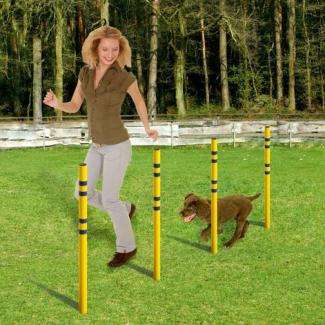Karlie Fun Agility Starter Set
