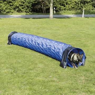 Agility & Training