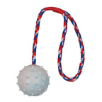 Trixie Naturgummiball am Seil